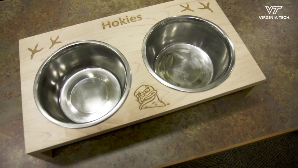 Virginia Tech students learn entrepreneurial skills