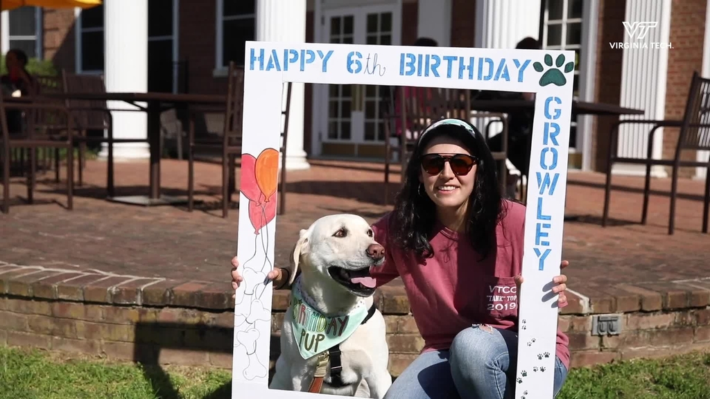 Growley's 6th Birthday Party