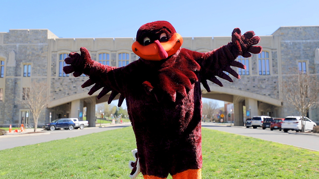 A message from the HokieBird