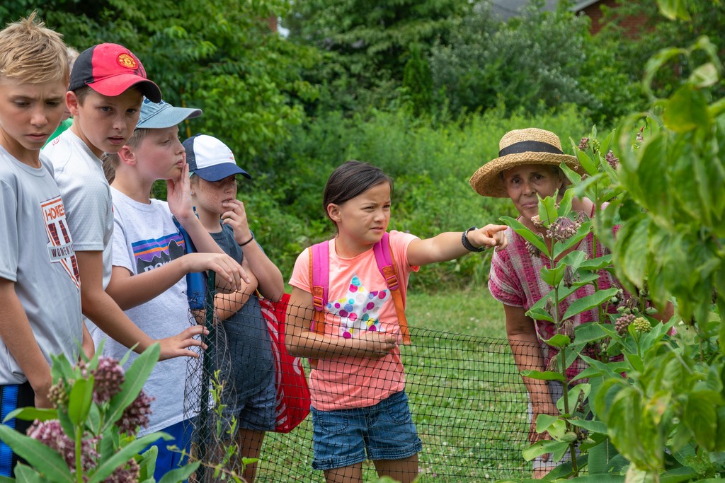 Kids learn about gardening, food prep at Family Food Fest camp