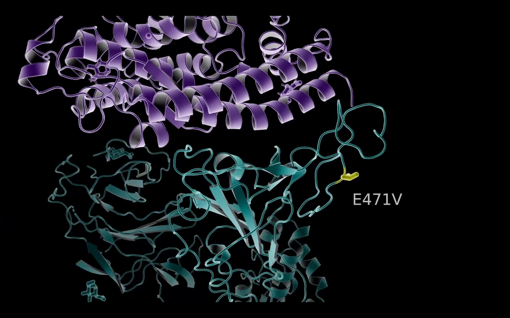 The virus that causes COVID-19 is widespread in wildlife, Virginia Tech scientists find