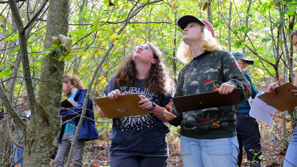 Examining chestnut blight in local forests