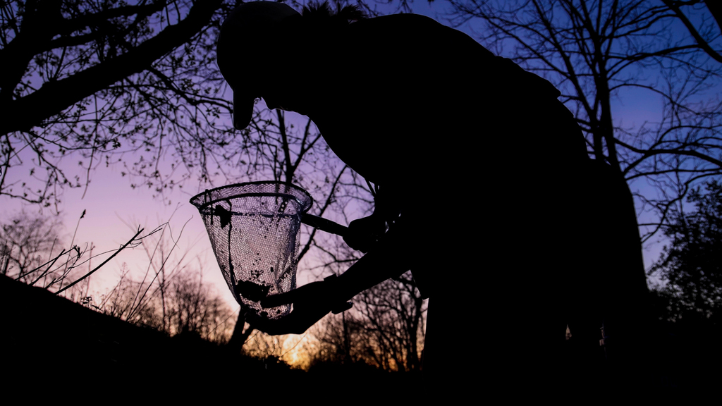 Students get their feet wet as biodiversity conservationists