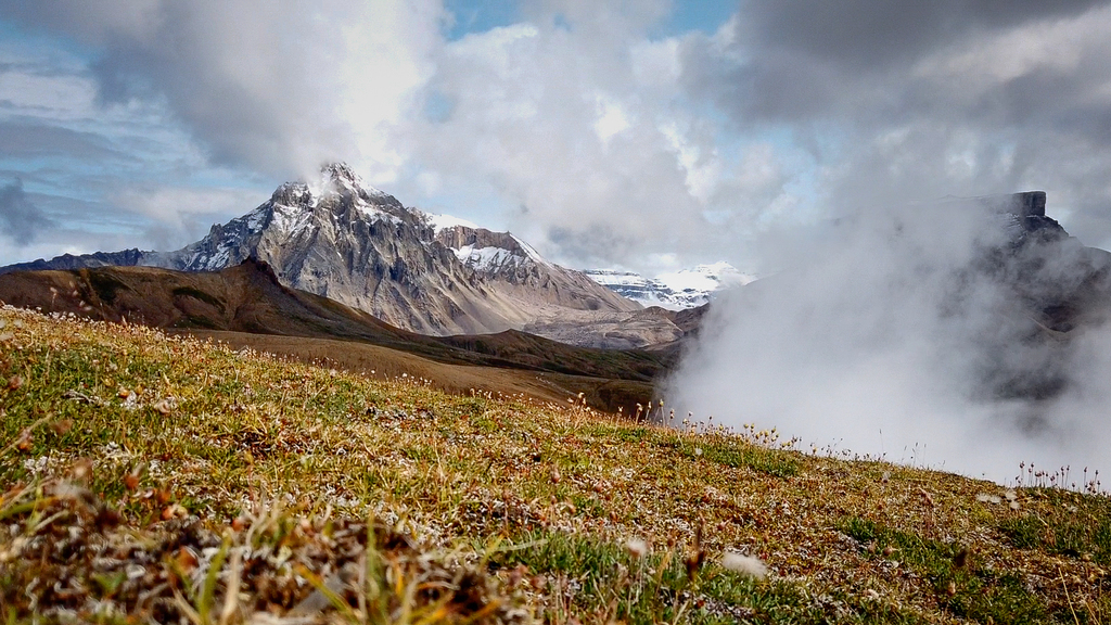 Researching the Triassic mass-extinction event