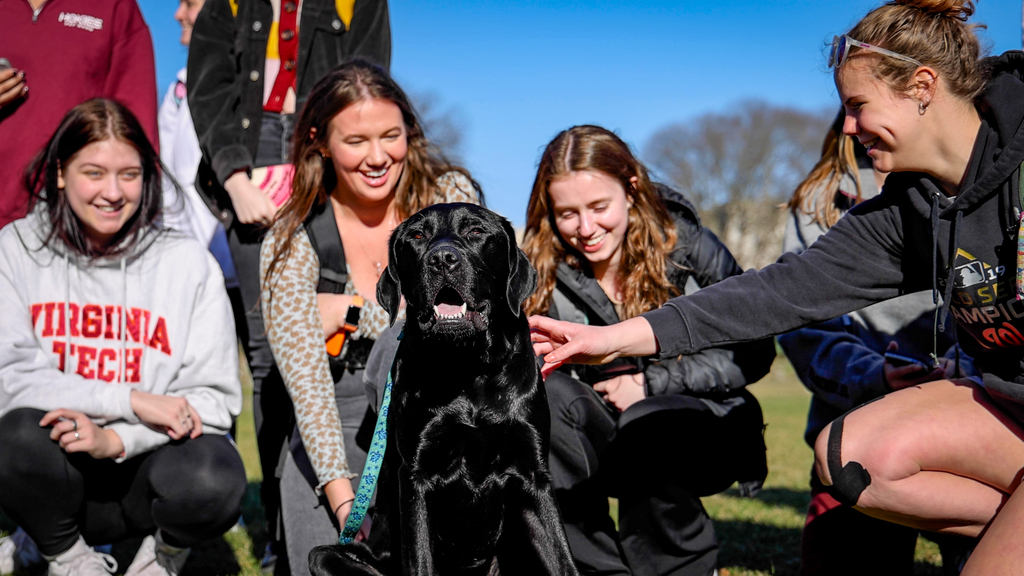 Welcome Virginia Tech's newest therapy dog, Epcot