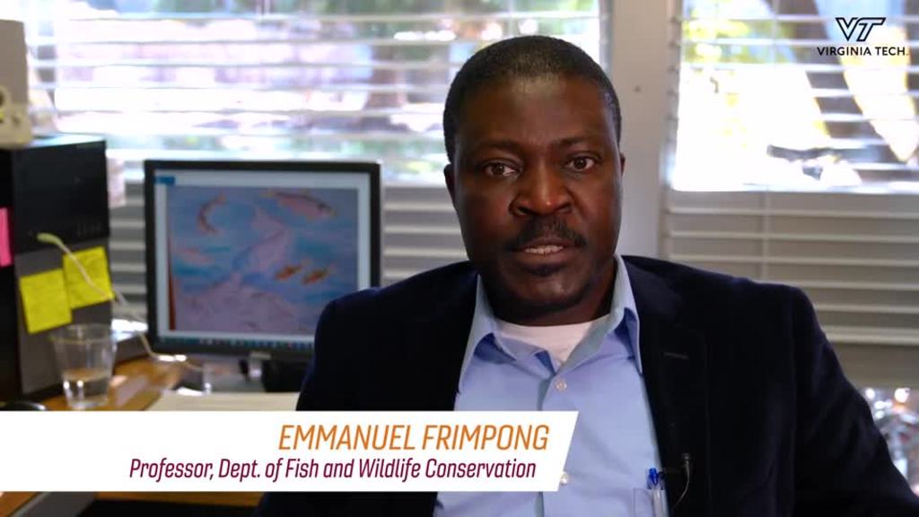 Conservation and biodiversity of fish and wildlife