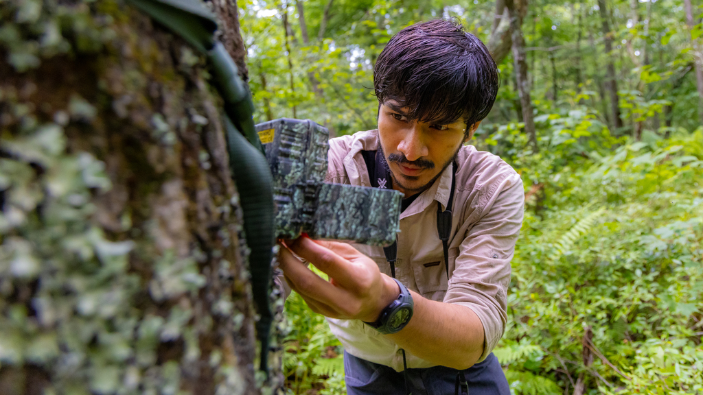 Tracking how seeds travel in the Southern Appalachians