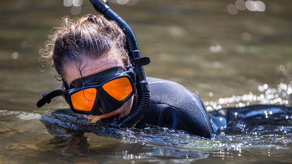 Propagating mussel power to purify Virginia's freshwater