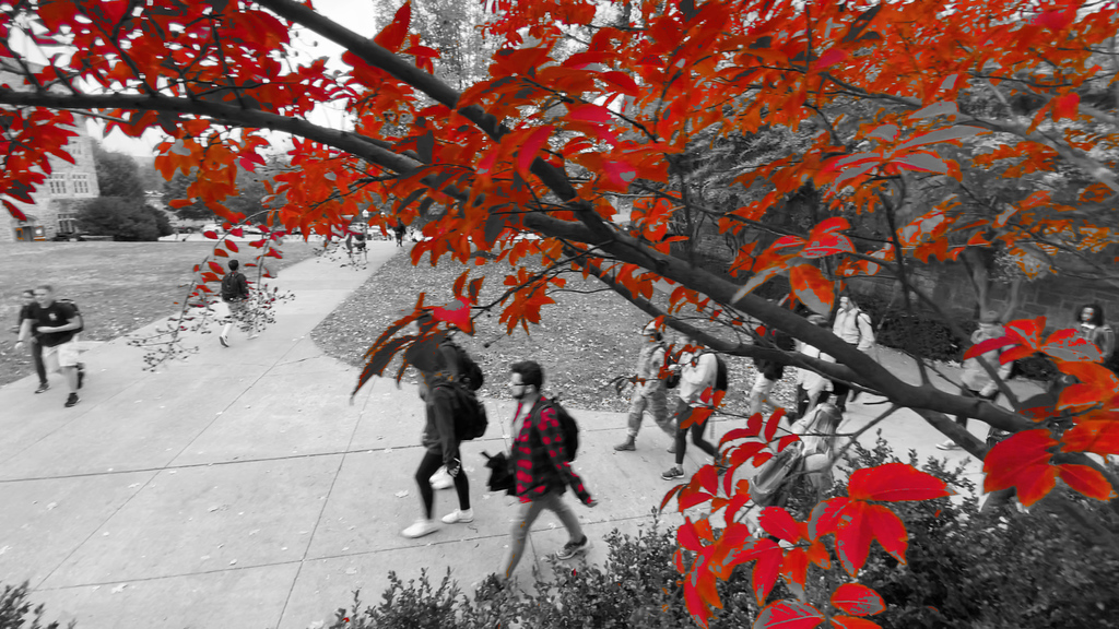 Autumn colors on Virginia Tech's campus