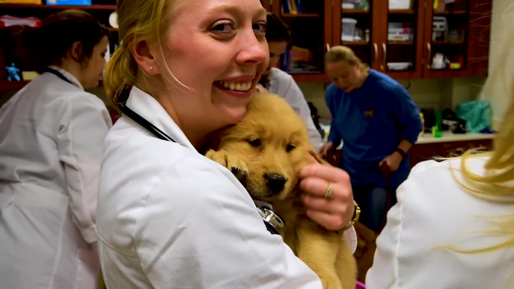 Virginia-Maryland College of Veterinary Medicine holds the first "Puppy Palooza"