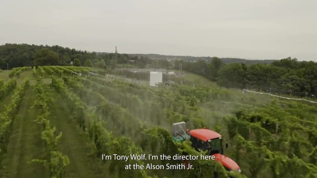 The Alson H. Smith Jr. AREC conducts research and Extension activities on  grapes, apples, and other crops