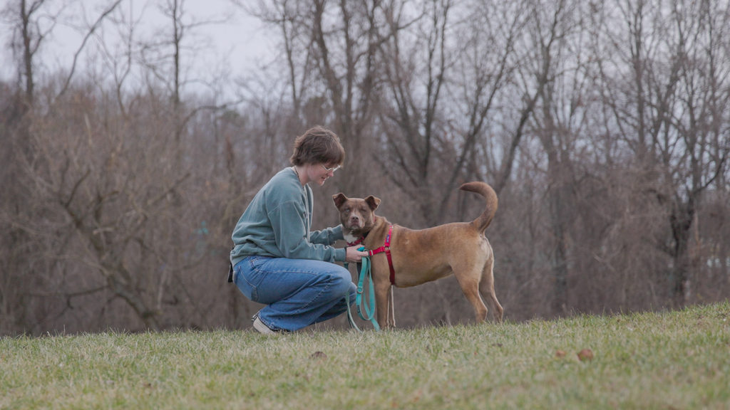 Students develop program to help shelter dogs