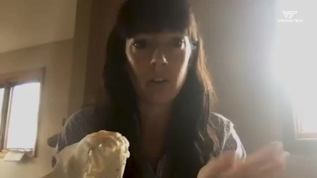 Shifting to online instruction