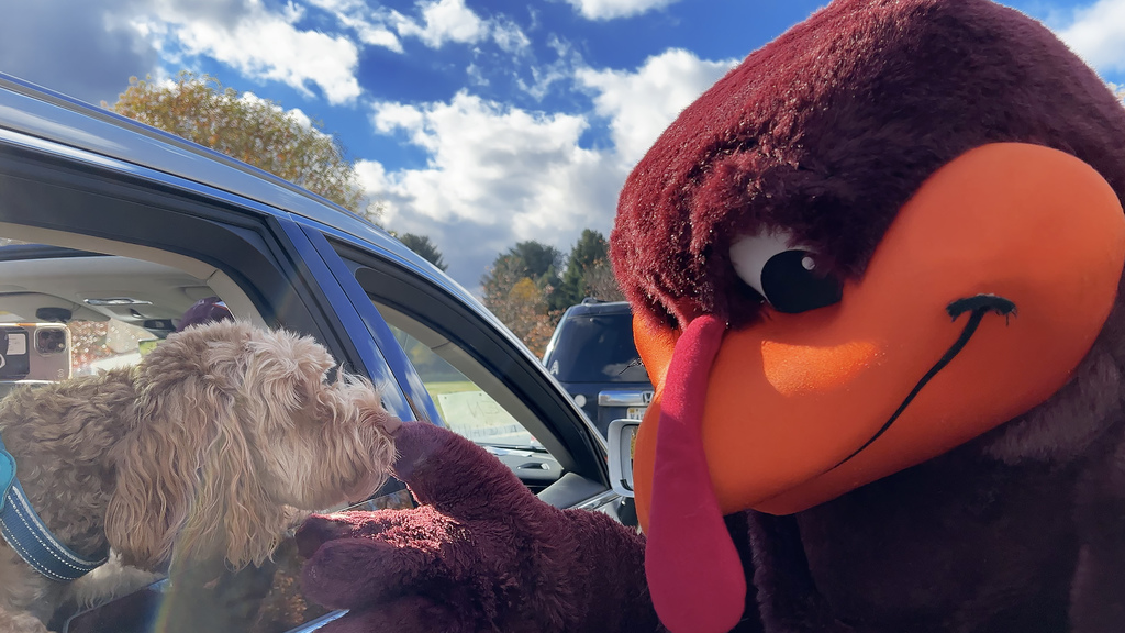 Virginia Tech welcomes new Hokies on campus to pick up early admissions decisions and meet the Hokie Bird