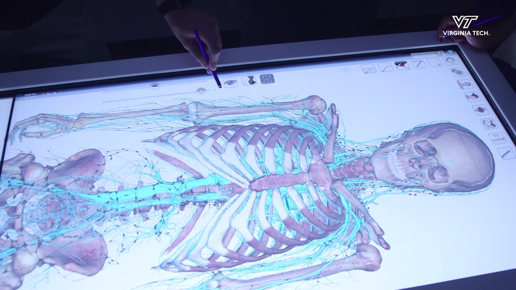 Anatomage Table gives students a detailed view of physiology