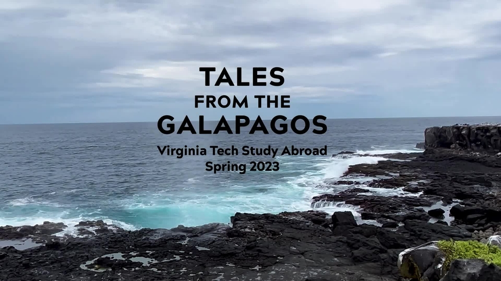 Tales from the Galapagos: Study Abroad Spring 2023