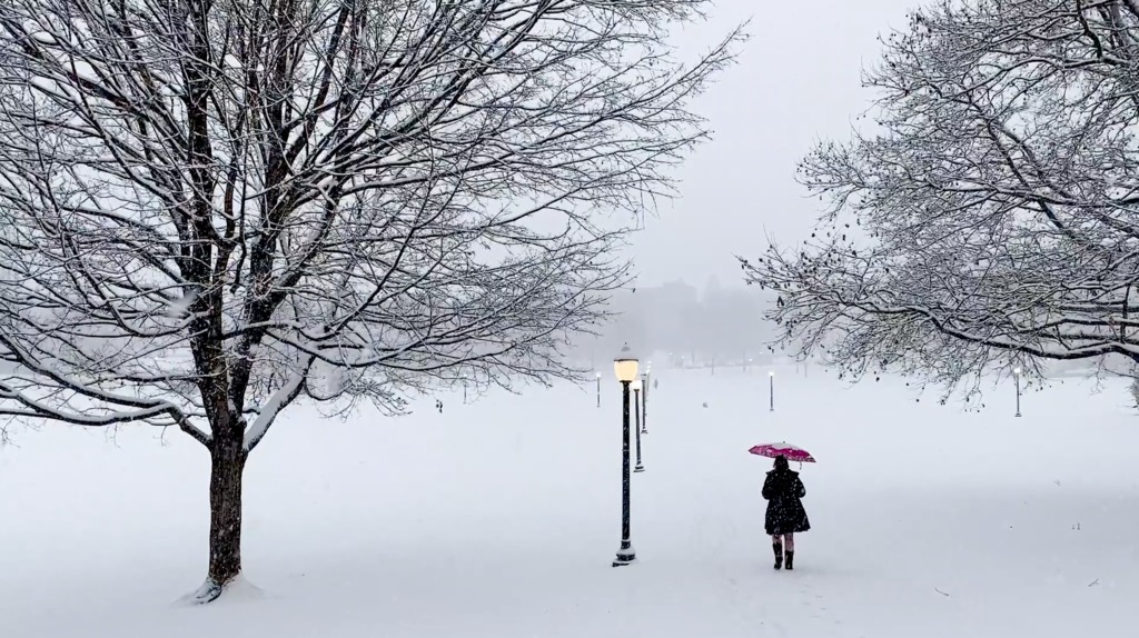 Blacksburg campus becomes a winter wonderland