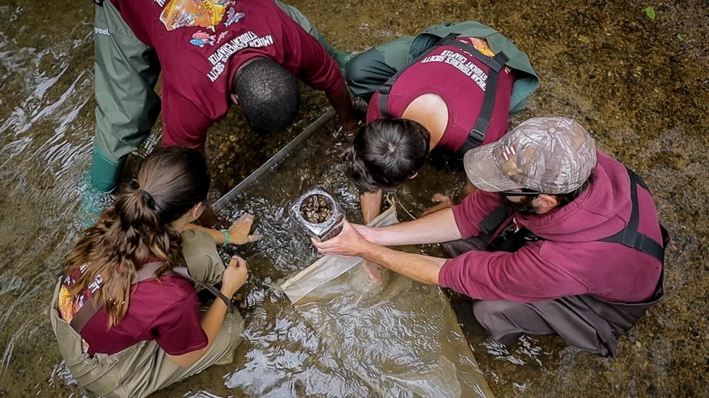 An amazing ecosystem engineer in Southwest Virginia