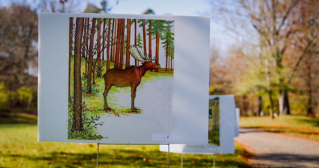 Book Walk aims to promote literacy and provide childcare resources