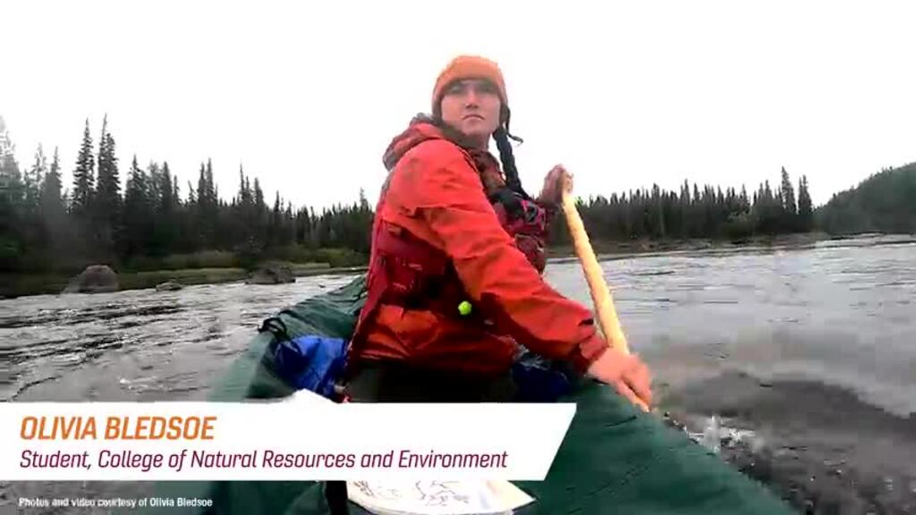 A truly wild summer adventure