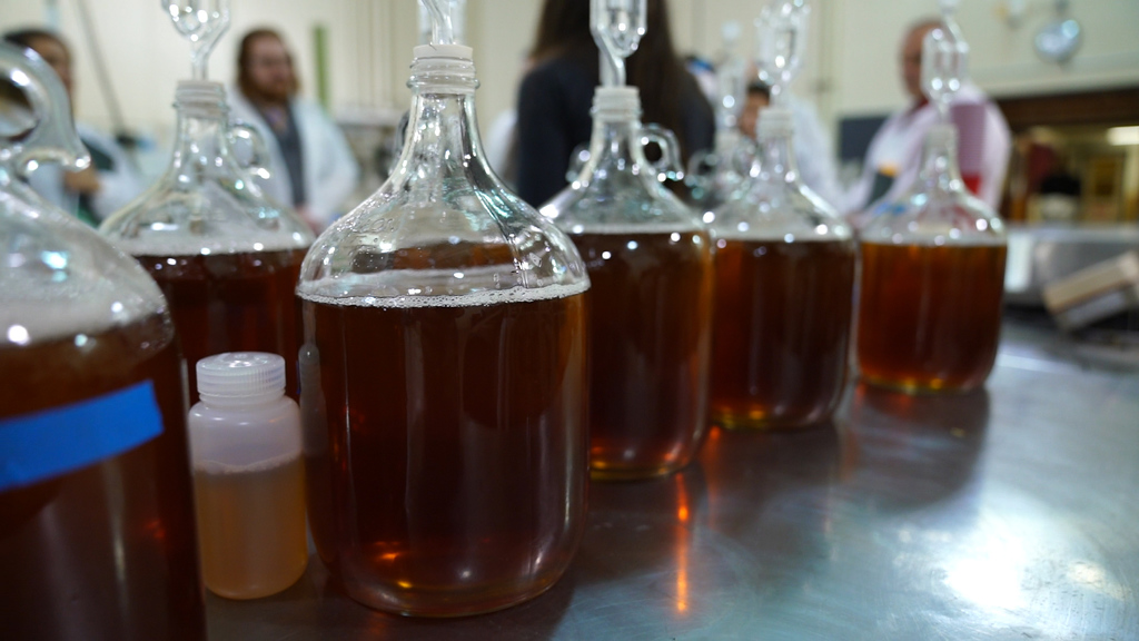 Learning the Foundations of Cider Making