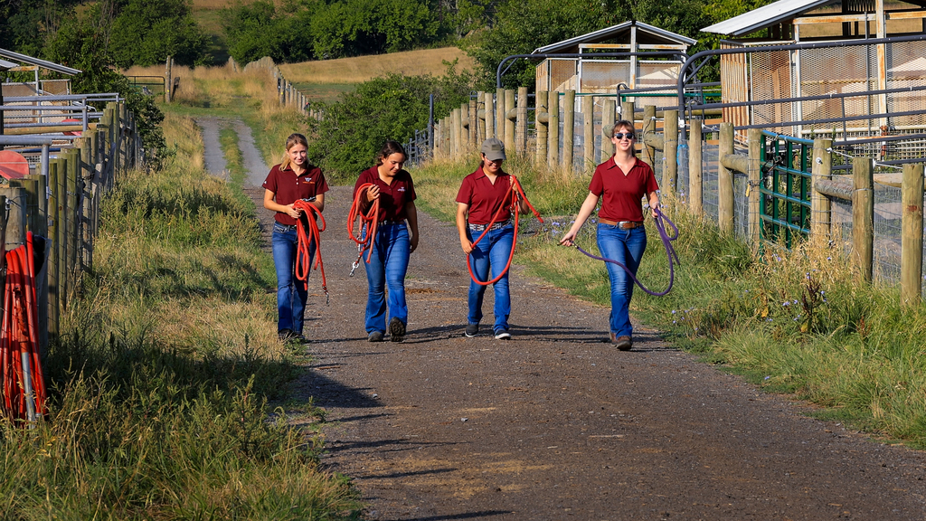 MARE Center provides experiential internship program for students