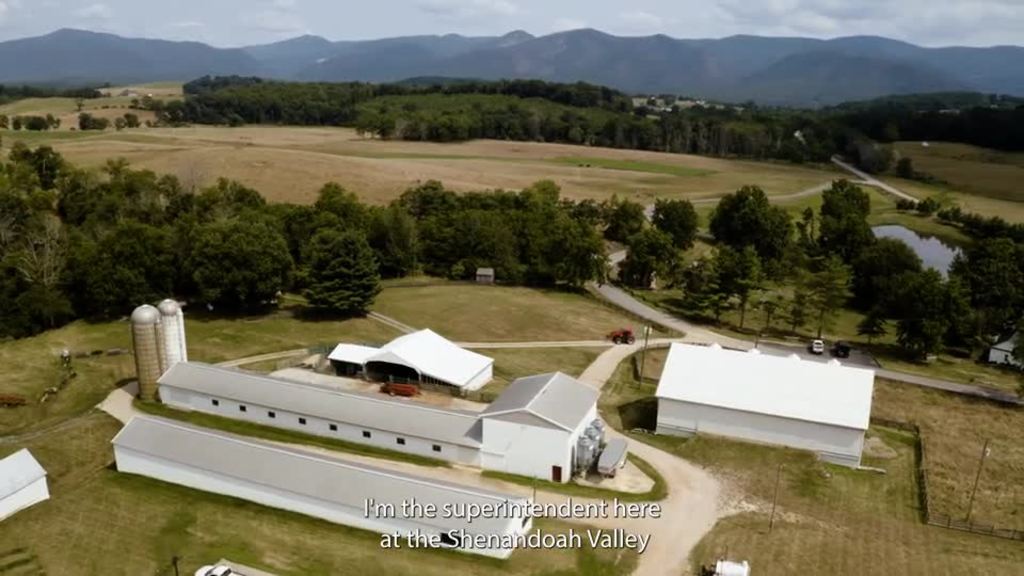 The Shenandoah AREC conducts research Extension efforts around livestock, rams, and forestry