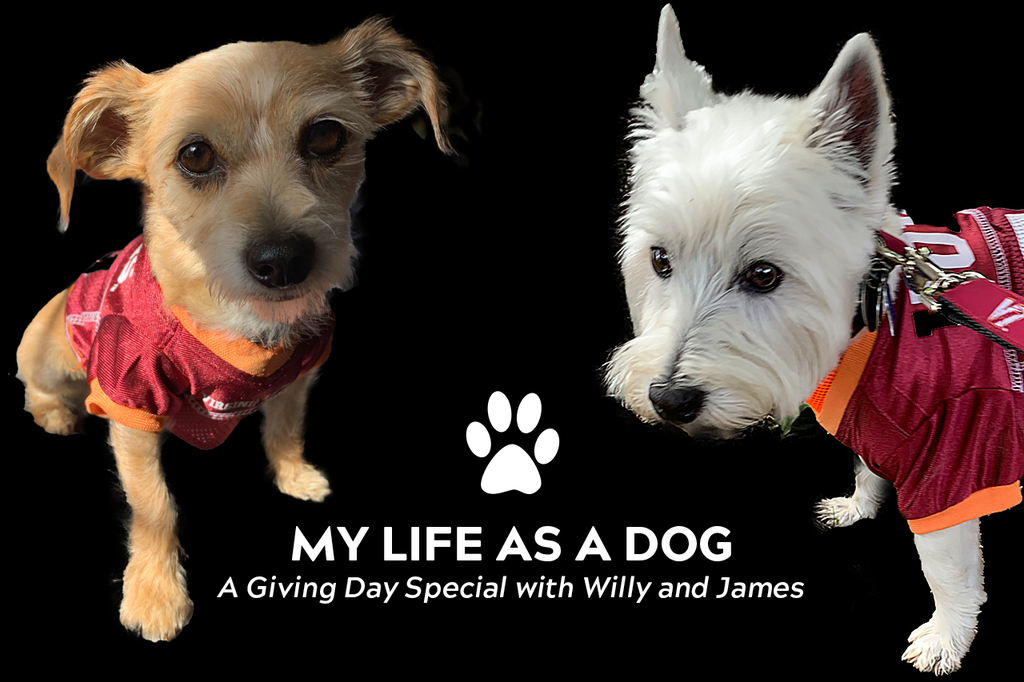 My life as a dog: A Giving Day special with Willy and James