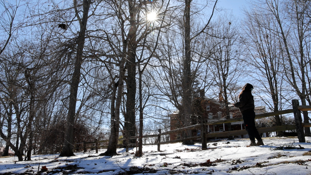 Arborist interns help maintain campus trees