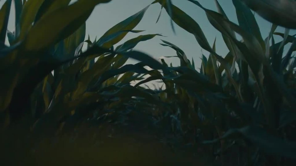 Virginia Tech’s ARECs are propelling our thriving agriculture industry into the future