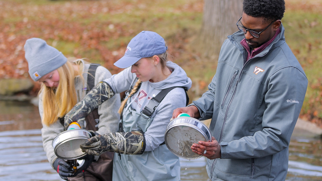 How harmful are the microplastics  in our waterways?