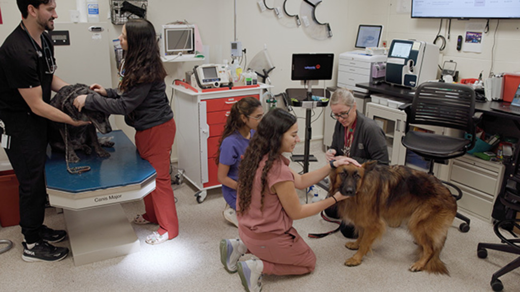 More Than an ER - Building the Future of Veterinary Medicine at Virginia Tech