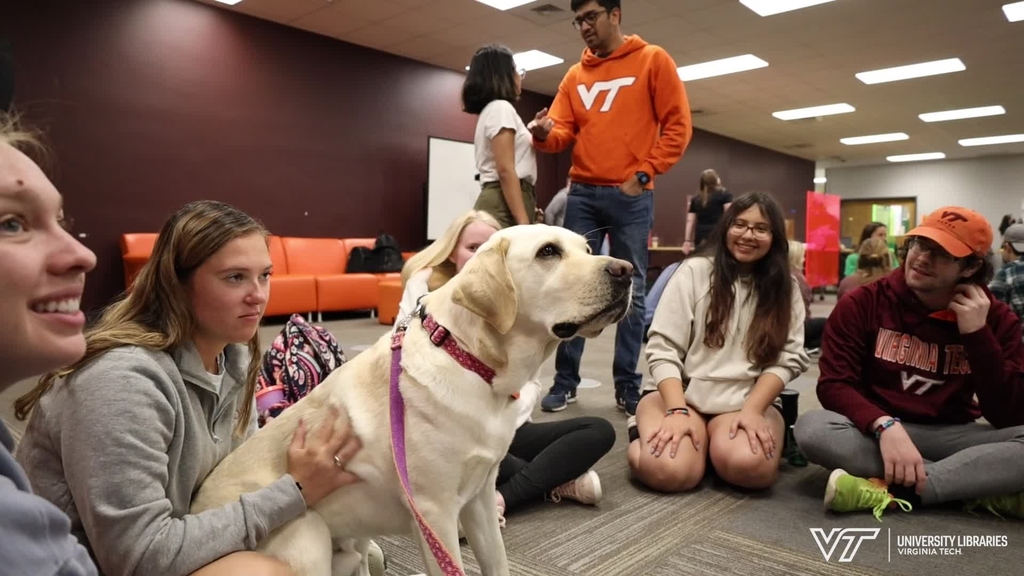 VT Therapy Dogs bring joy to students in Newman Library