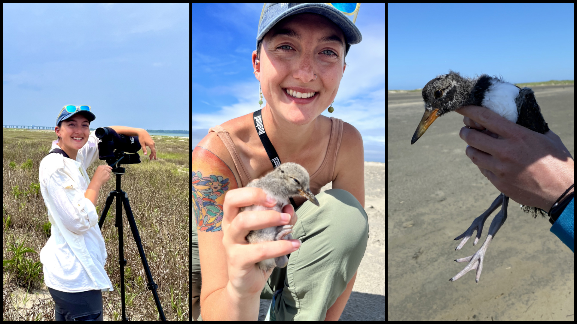 CNRE undergrad research takes student from campus to the coast ...