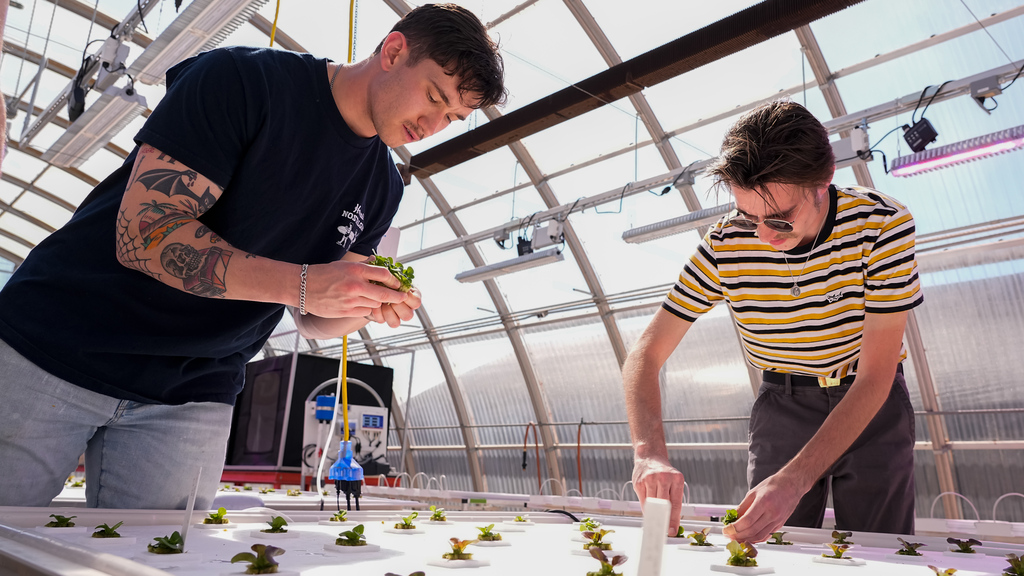 New course provides deeper dive into hydroponics