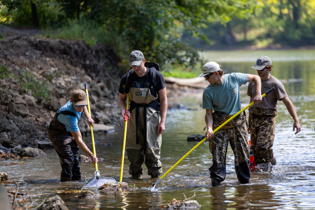 Virginia Tech students wade into Toms Creek to put lessons into practice