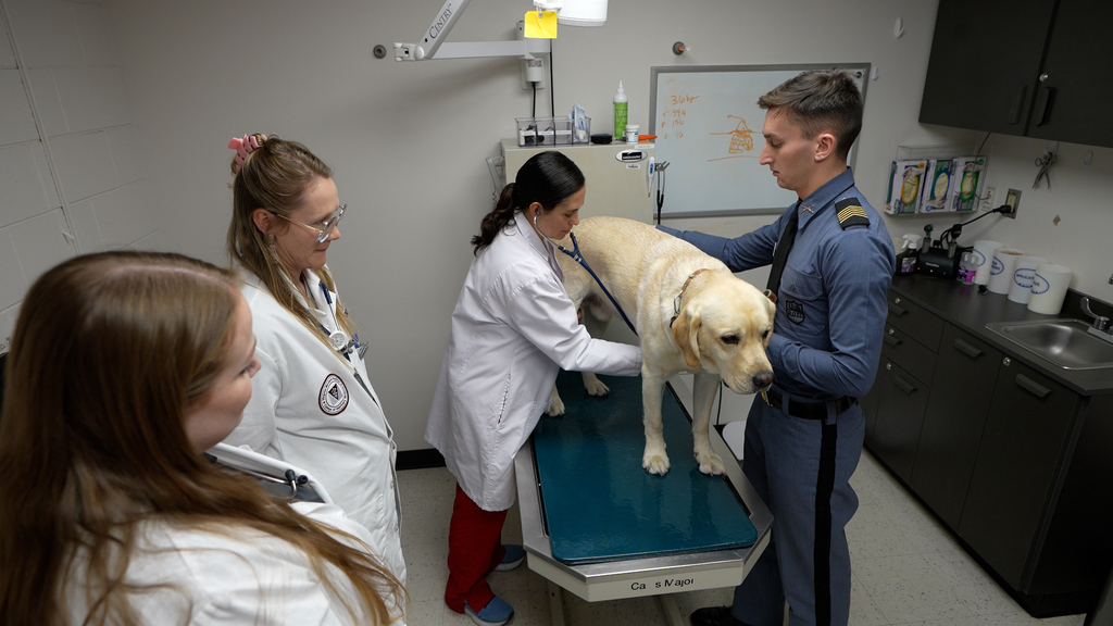 Growley III gets his checkup