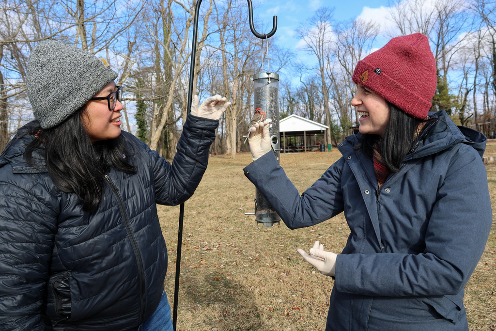 Preventing avian pink eye in the cold