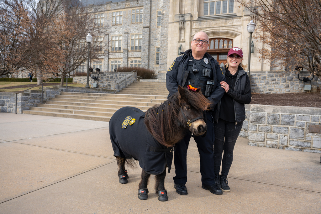 Meet Ringo, the police patrol pony