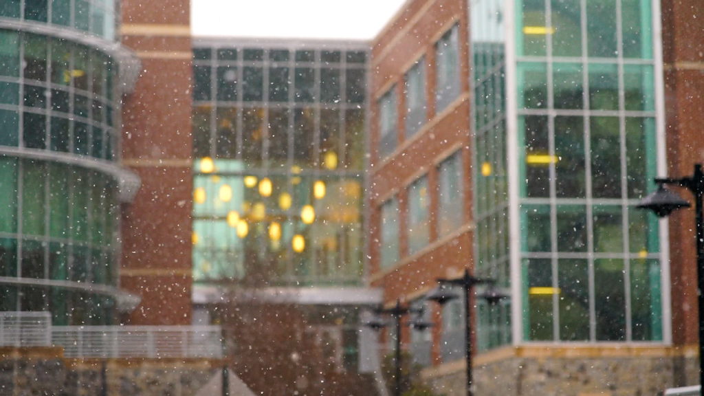 The new year brings in new snow fall