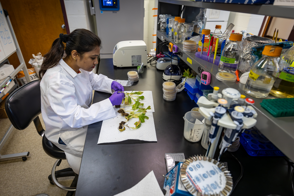 A half-century of impact for the Southern Piedmont Agricultural Research and Extension Center