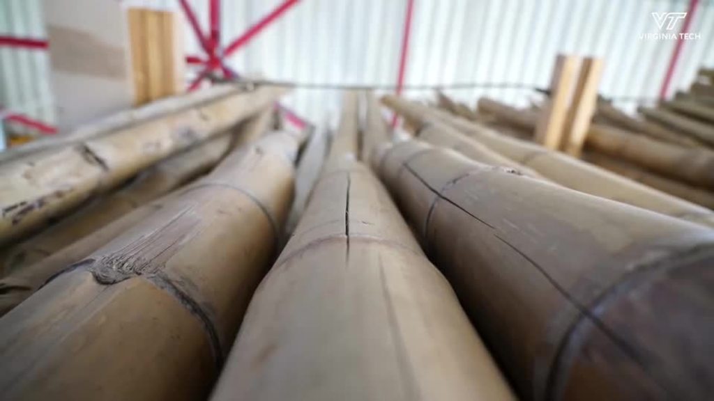 Research into bamboo shows a sustainable and natural raw building material