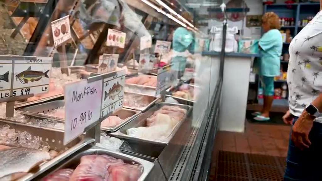 Future Foods Lab and Cellular Agriculture Initiative