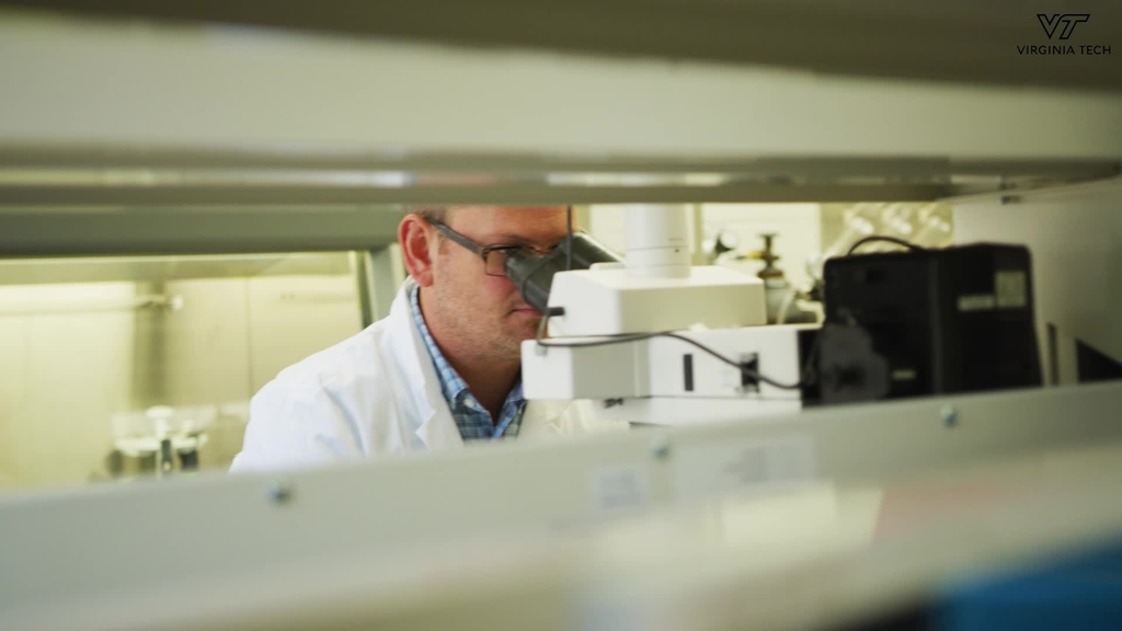 Virginia Tech researchers look to improve health outcomes in patients with Lyme disease