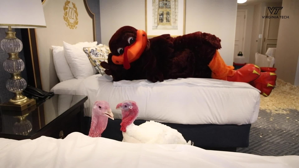 The Presidential Turkeys in Washington, D.C.