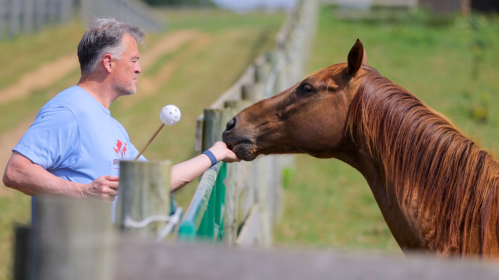 Graduate students study animal behavior in Blacksburg