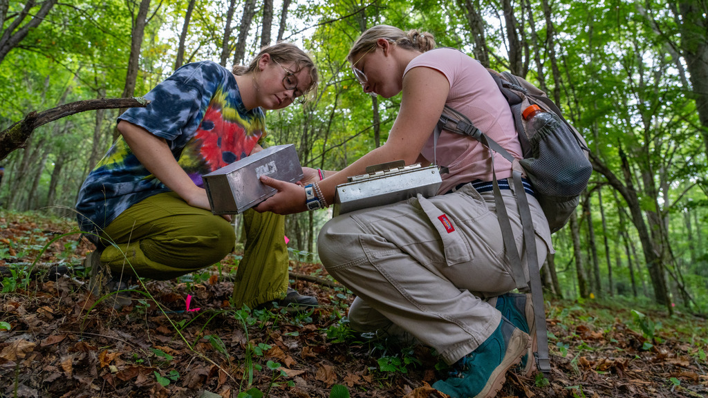 Students turn classroom lessons into field experience