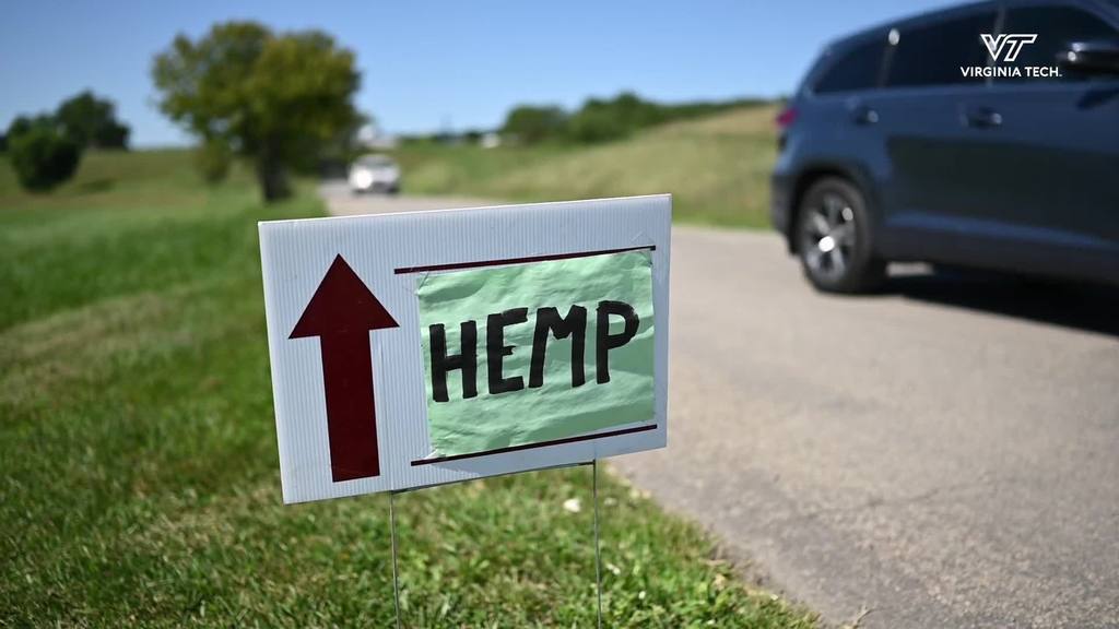 Monitoring pollen levels with drones at Hemp Research Day