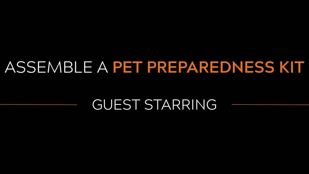 Assemble A Pet Preparedness Kit