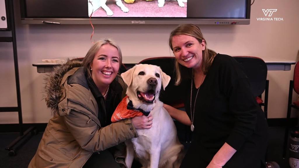 Moose celebrates 8th birthday